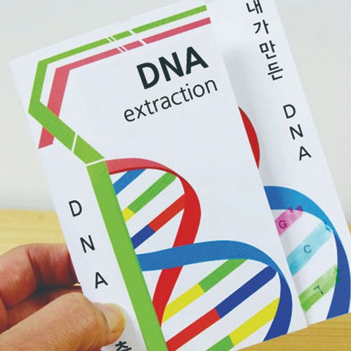 DNA추출법/식물세포(10인 세트)