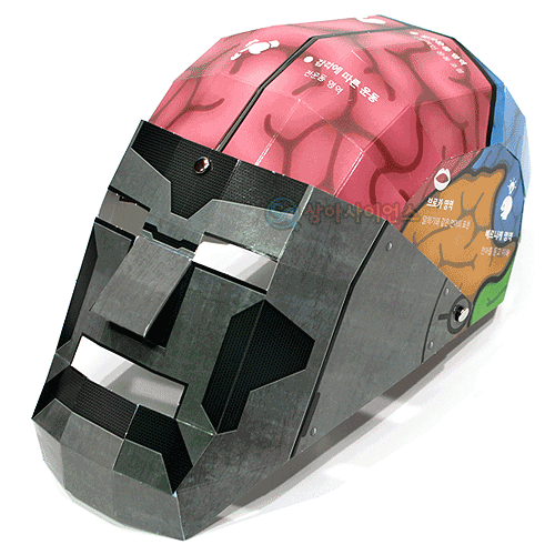 인체의 신비뇌구조 마스크(1인용 포장)
