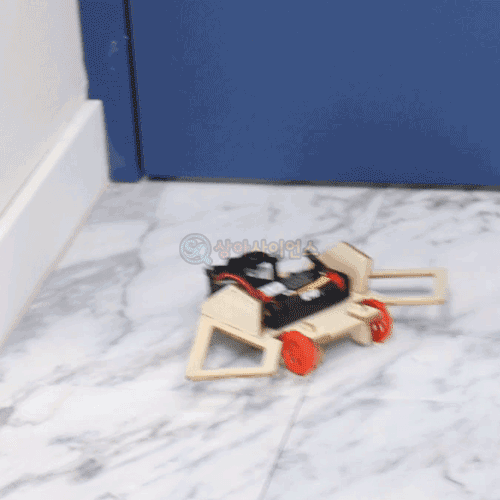 DIY 장애물 회피 로봇(스위치형)(1인용 포장)