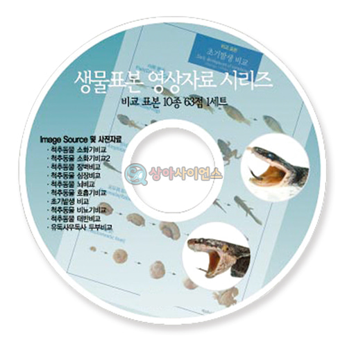 비교 표본(10종 CD)