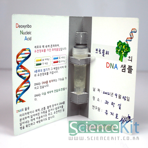 DNA추출 I-식물세포(4인 세트)