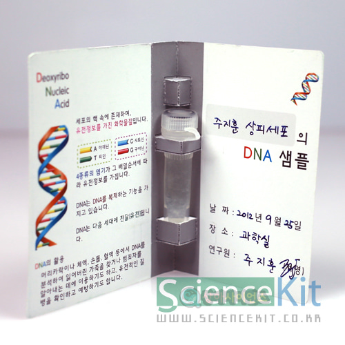 DNA추출 II-동물세포(4인 세트)